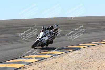 media/Jan-14-2024-SoCal Trackdays (Sun) [[2e55ec21a6]]/Bowl (11am)/